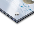 EMPRESS OF THE ARCTIC 3 Acrylic print