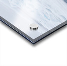 EMPRESS OF THE ARCTIC Acrylic print