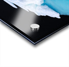 JELLYFISH ICEBERG Acrylic print