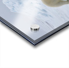 EMPRESS OF THE ARCTIC 4 Acrylic print