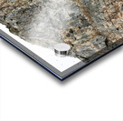 AVIAN HIGH RISE Acrylic print