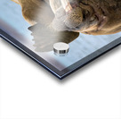 MONDAYS Acrylic print