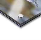 ADOLESCENCE IS AWKWARD Acrylic print