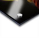 LANDING PAD Acrylic print