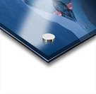 SYMMETRY Acrylic print