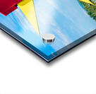 THE BIG CHICKEN Acrylic print