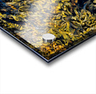 TAPESTRY DU FRANC Acrylic print