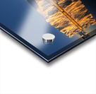 GOLDEN SUNRISE Acrylic print