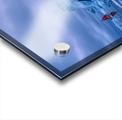 SAILING IN CALM WATERS Acrylic print