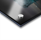 MONSTROUS Acrylic print