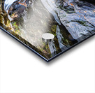 Forest Waterfalls Mossy Rock Dance Acrylic print