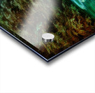 Avalokitesvara Acrylic print