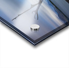 SUN VOYAGER Acrylic print