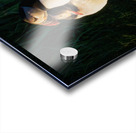 NORTH ATLANTIC PUFFINS Acrylic print