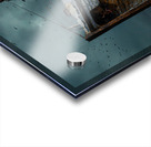 OUT OF ITS ELEMENT Acrylic print