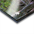 Serene Swamp Landscape with Cypress Trees Acrylic print