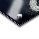 Vintage 1950s Connecticut Huskies Art Acrylic print