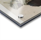 Louxor arabe assis de trois quarts dos Acrylic print