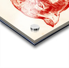 1940s Houston Cougar Art | Row One Acrylic print