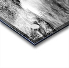 Autumn Cascades At Ozarks Greer Spring Grayscale Acrylic print