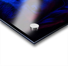 Lora 1 Acrylic print