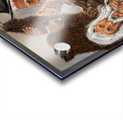 IMG 4228 Two Mount Man mama grizzly in her cub Acrylic print