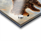 IMG 4326 grizzly cub looking for mama Acrylic print