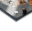 IMG 4234 Bird hits motorcycle rider Acrylic print