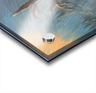 IMG 4215  Three bears playing in a tall pine tree Acrylic print