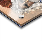 IMG 4233 Mountain man getting a hug by a grizzly Acrylic print