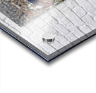 Michigan Wolverines Football Star Jim Pace | Row One Brand Acrylic print