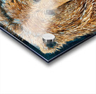 IMG 3733 colorful grizzly bear head Acrylic print