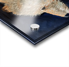 IMG 4360  Young polar bear Acrylic print