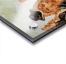 IMG 4309. leprechaun and a bear Acrylic print