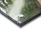 Peaceful Autumnal Forest Trail                                                                                                                      Acrylic print