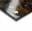 IMG 4303. grizzly bear and a cub Acrylic print