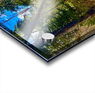 IMG 4401 brilliant colors Acrylic print