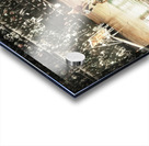 Vintage North Texas Eagles Basketball Art Acrylic print