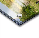 IMG 2070 bull cow Under the rainbow Acrylic print