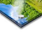 IMG 4039 Green grass purple flowers blue sky Acrylic print