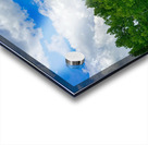 IMG 4041 wildflowers and Aspen trees Acrylic print