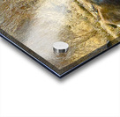 IMG 2748. Cow moose in a glassy pond Acrylic print