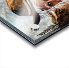 IMG 4202 Mount Man getting away from bear and wolf fight Acrylic print