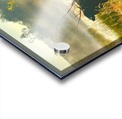 IMG 2179 Black cow Silhouette At sunrise Acrylic print