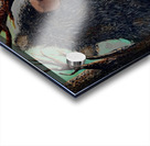 IMG 4200 winter is coming for the lonely black bear Acrylic print