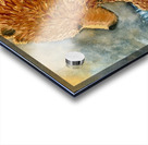 IMG 3428 grizzly bear staring at a fishing bobber Acrylic print