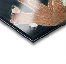 IMG 0147 mountain man and grizzly bear cub on his head Acrylic print