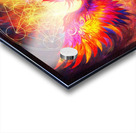 Phoenix Still Life Acrylic print