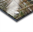 Over the River Acrylic print