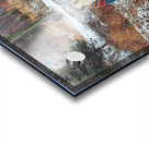 Cherokee Acrylic print